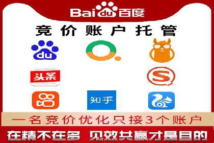 案例解读：SEO与SEM优化助力电商崛起