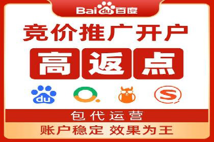 专业SEM代运营公司案例分析